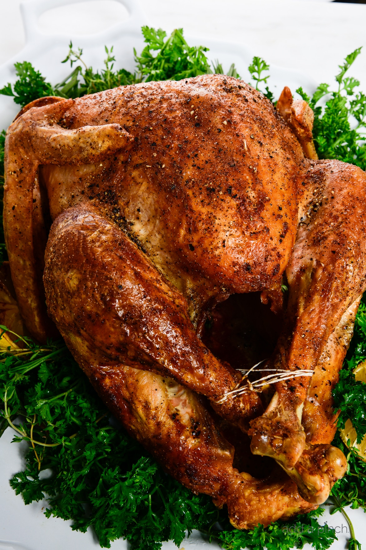 Easy Roast Turkey Recipe: Achieve Perfect Juiciness Even First Time